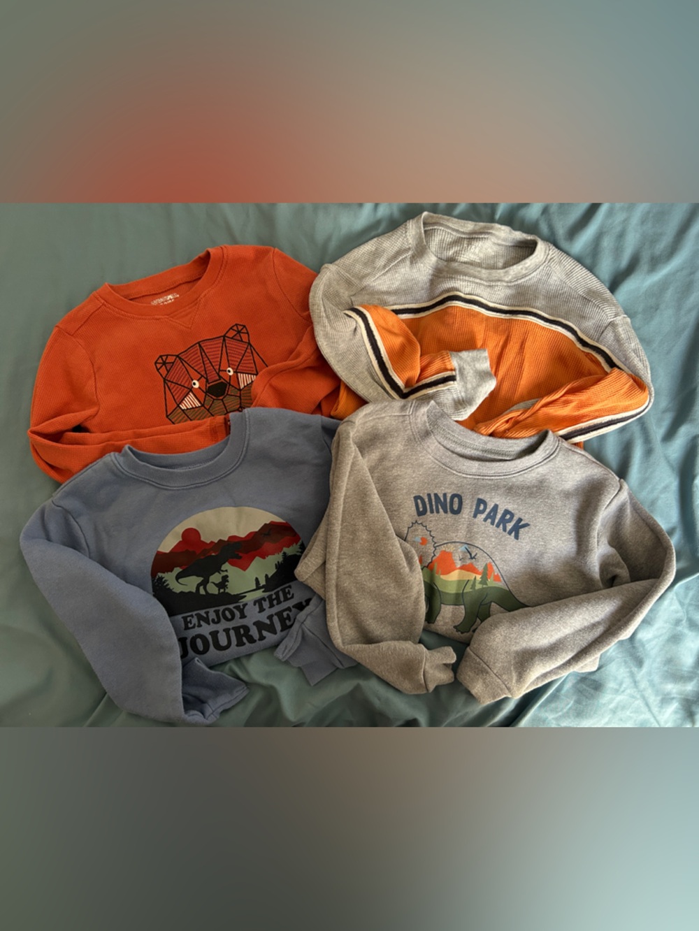 Kids Long-Sleeve Dino Park Sweatshirt - Gray